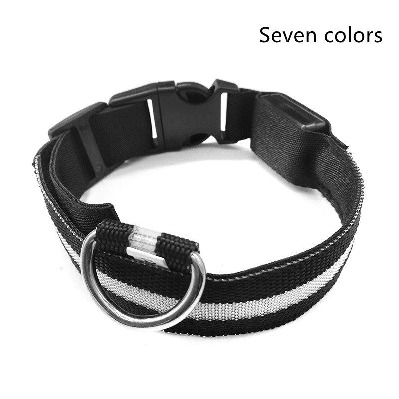 Collier Lumineux LED pour Animaux – Sécurité Nocturne & Style Assuré