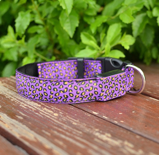 Collier Lumineux LED pour Chien – Motif Léopard