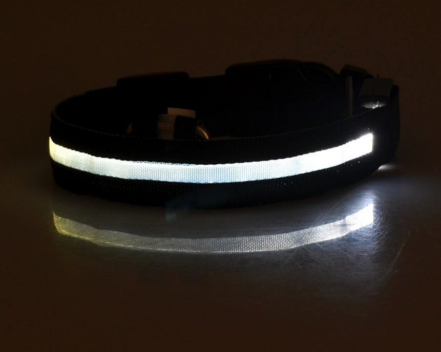Collier Lumineux LED pour Animaux – Sécurité Nocturne & Style Assuré