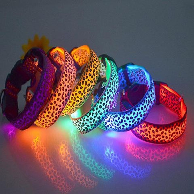 Collier Lumineux LED pour Chien – Motif Léopard