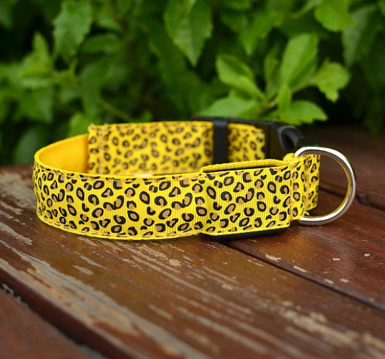 Collier Lumineux LED pour Chien – Motif Léopard