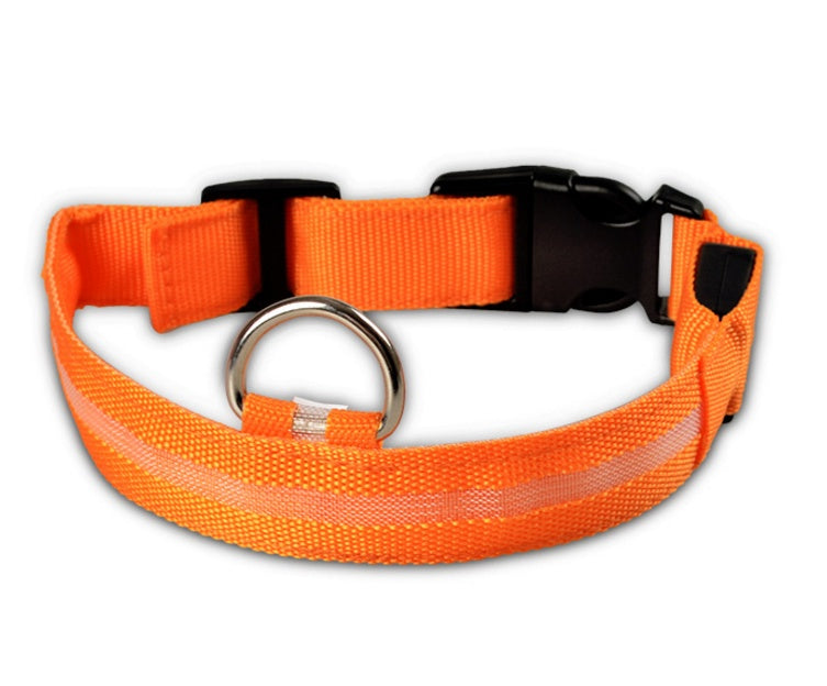 Collier Lumineux LED pour Animaux – Sécurité Nocturne & Style Assuré