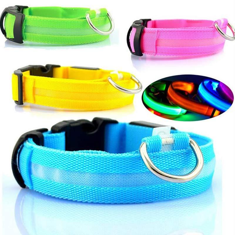 Collier Lumineux LED pour Animaux – Sécurité Nocturne & Style Assuré