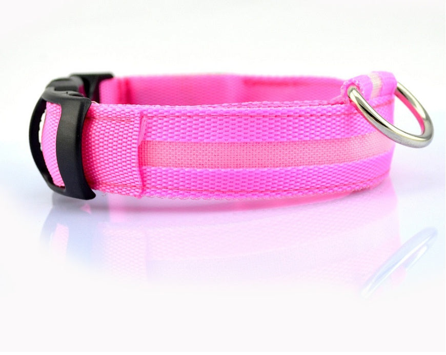 Collier Lumineux LED pour Animaux – Sécurité Nocturne & Style Assuré