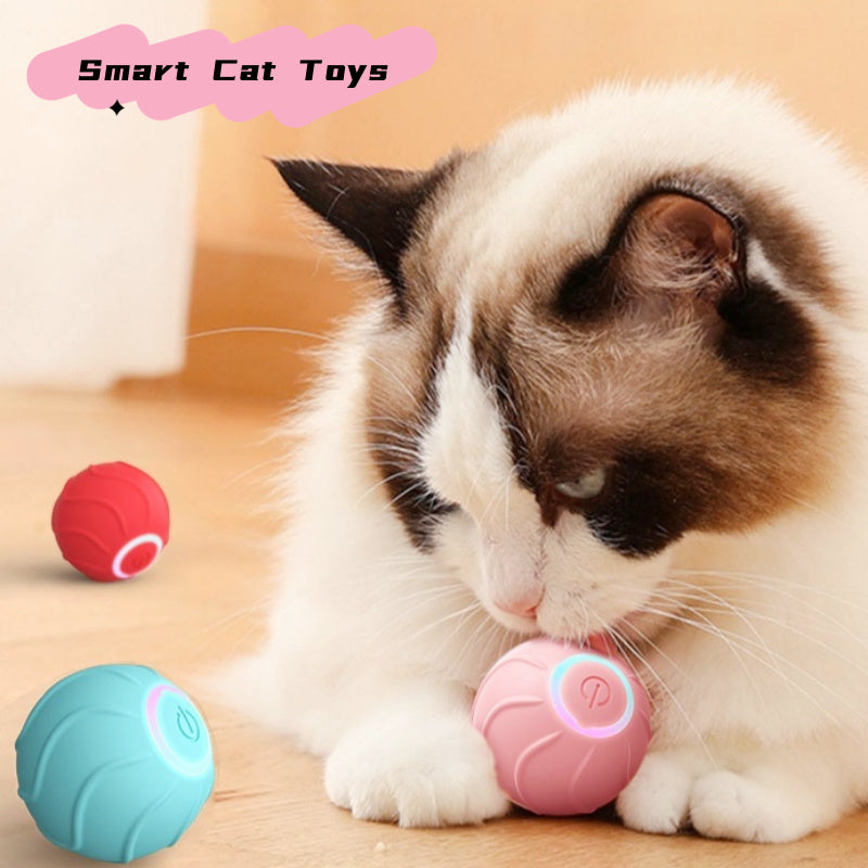 Balle Intelligente pour Chat – Le Compagnon de Jeu Idéal