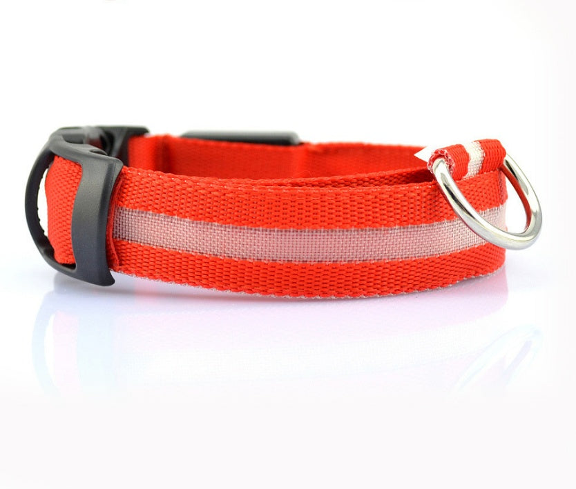 Collier Lumineux LED pour Animaux – Sécurité Nocturne & Style Assuré