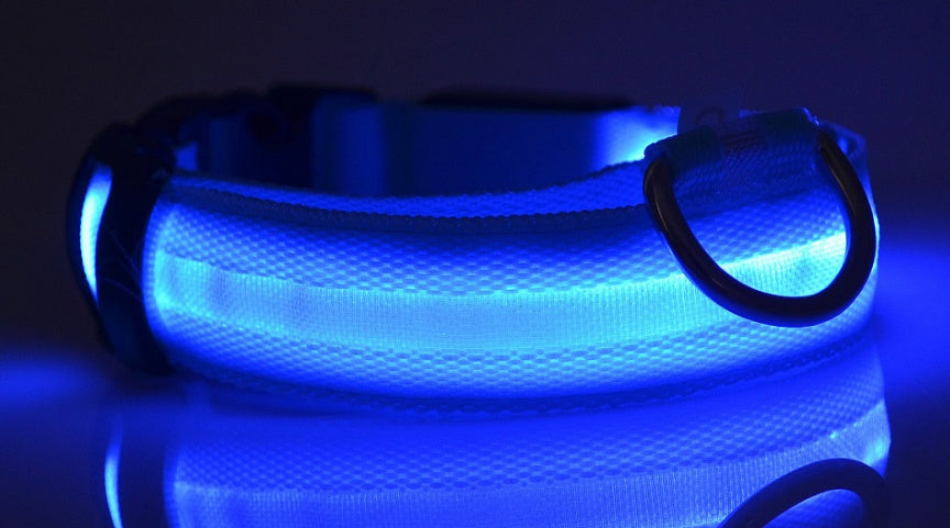 Collier Lumineux LED pour Animaux – Sécurité Nocturne & Style Assuré
