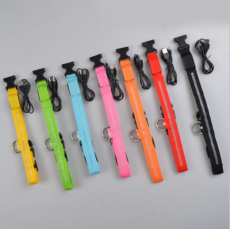Collier Lumineux LED pour Animaux – Sécurité Nocturne & Style Assuré
