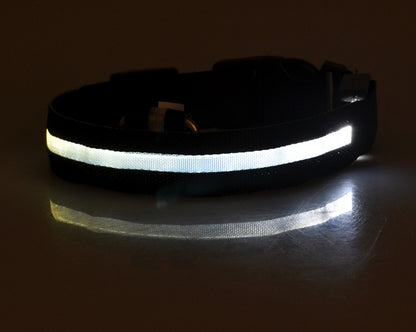 Collier Lumineux LED pour Animaux – Sécurité Nocturne & Style Assuré