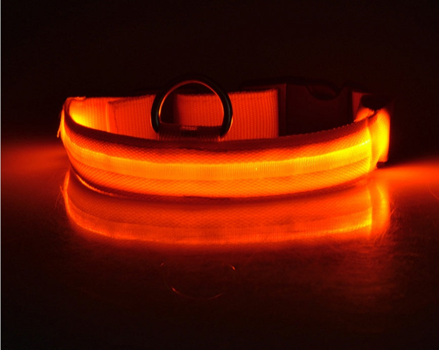 Collier Lumineux LED pour Animaux – Sécurité Nocturne & Style Assuré