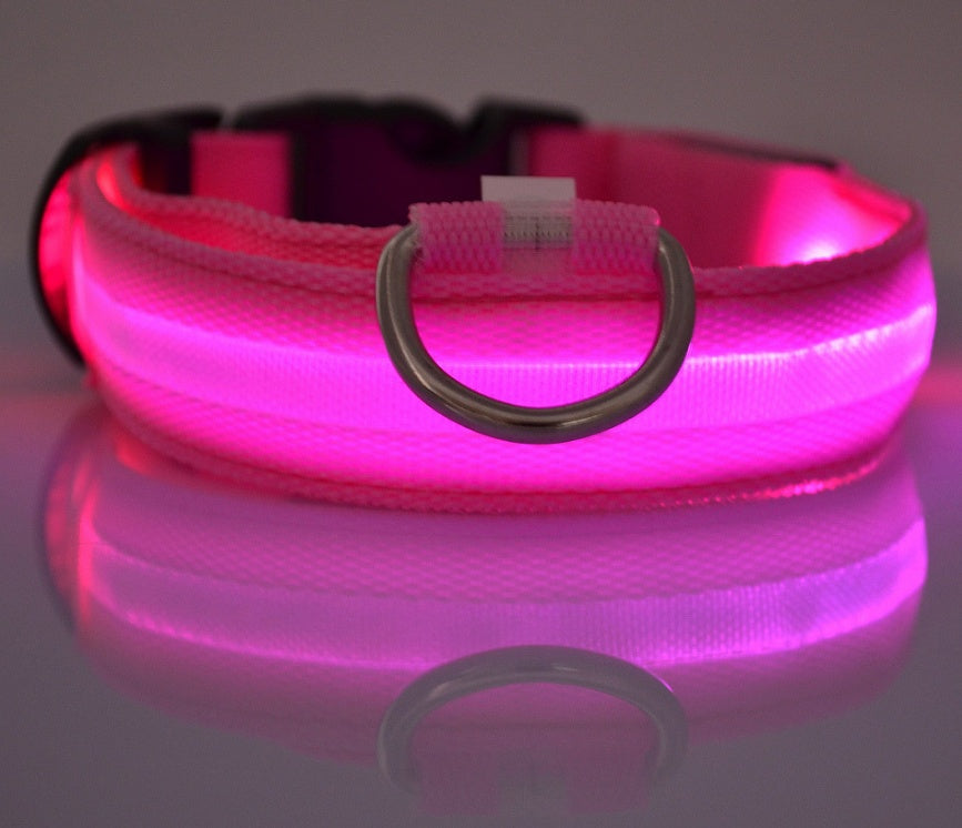 Collier Lumineux LED pour Animaux – Sécurité Nocturne & Style Assuré