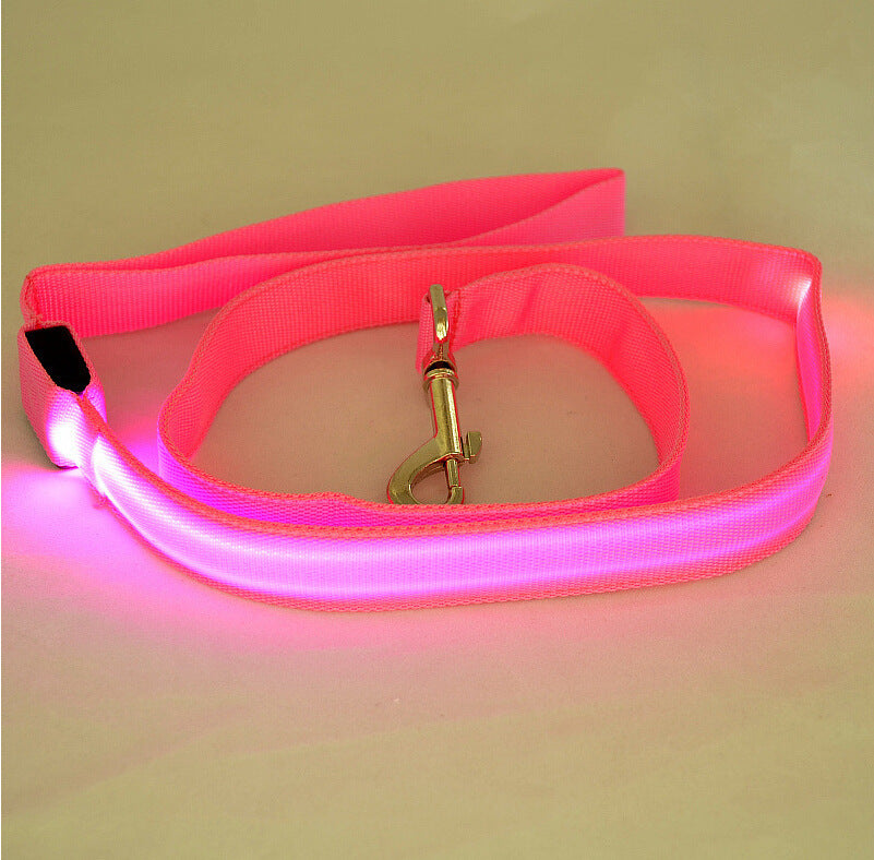 Laisse Lumineuse LED pour Animaux – Sécurité Nocturne & Style Assuré