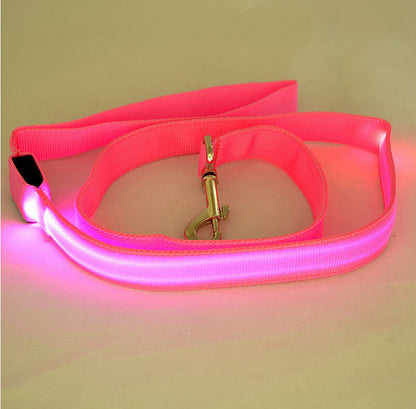 Laisse Lumineuse LED pour Animaux – Sécurité Nocturne & Style Assuré