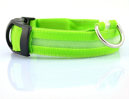 Collier Lumineux LED pour Animaux – Sécurité Nocturne & Style Assuré