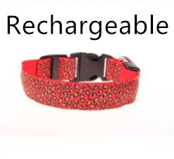 Collier Lumineux LED pour Chien – Motif Léopard