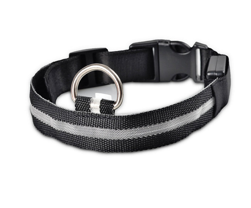Collier Lumineux LED pour Animaux – Sécurité Nocturne & Style Assuré