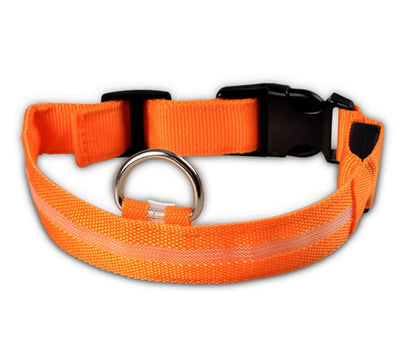Collier Lumineux LED pour Animaux – Sécurité Nocturne & Style Assuré