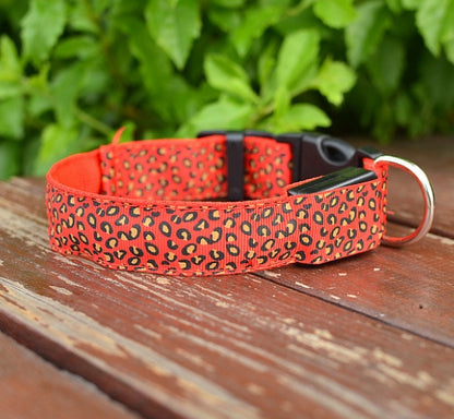 Collier Lumineux LED pour Chien – Motif Léopard