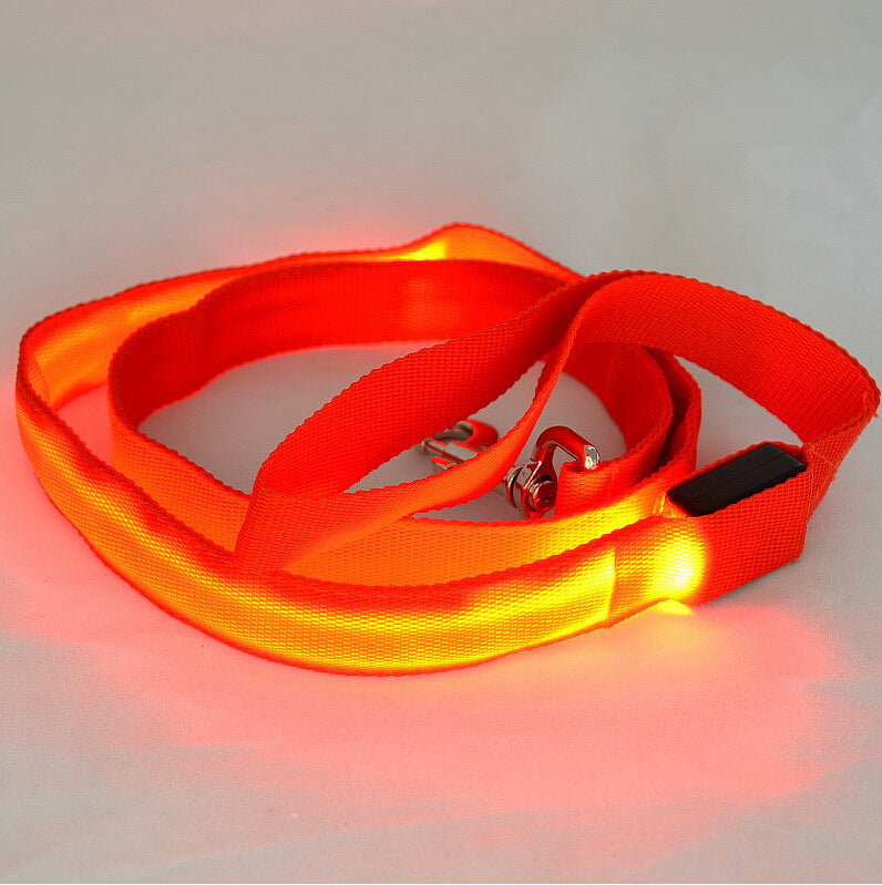 Laisse Lumineuse LED pour Animaux – Sécurité Nocturne & Style Assuré