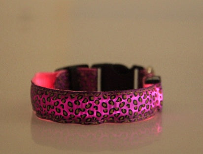 Collier Lumineux LED pour Chien – Motif Léopard