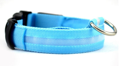 Collier Lumineux LED pour Animaux – Sécurité Nocturne & Style Assuré