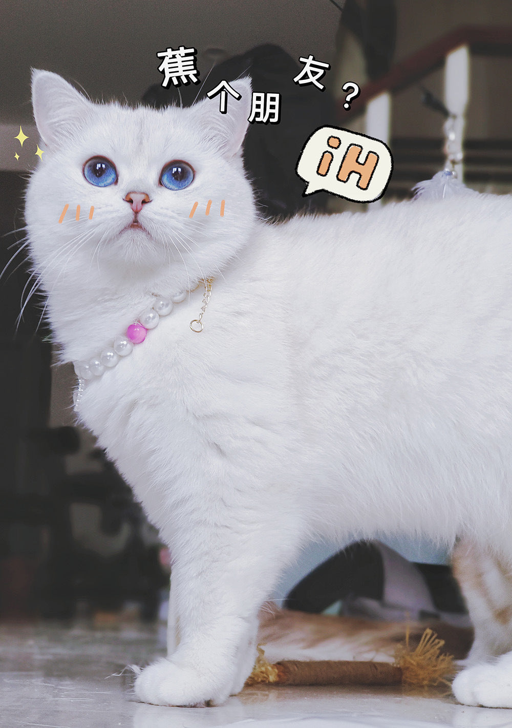 Collier pour Chat avec Perles et Petit Cœur
