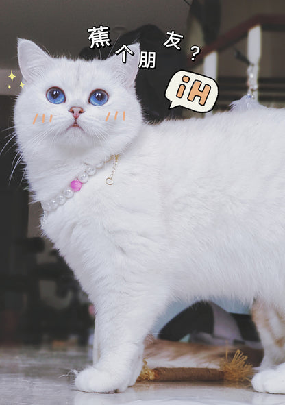 Collier pour Chat avec Perles et Petit Cœur