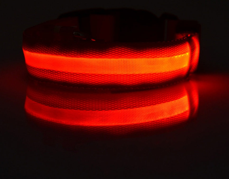 Collier Lumineux LED pour Animaux – Sécurité Nocturne & Style Assuré