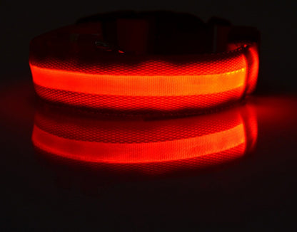 Collier Lumineux LED pour Animaux – Sécurité Nocturne & Style Assuré