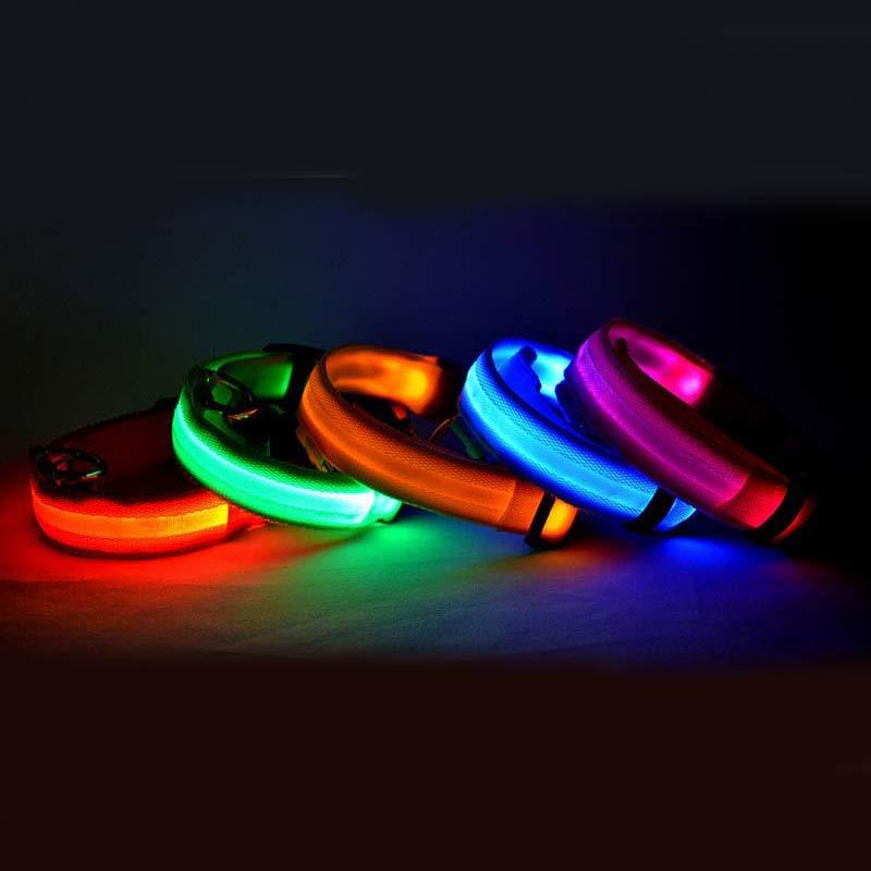 Collier Lumineux LED pour Animaux – Sécurité Nocturne & Style Assuré