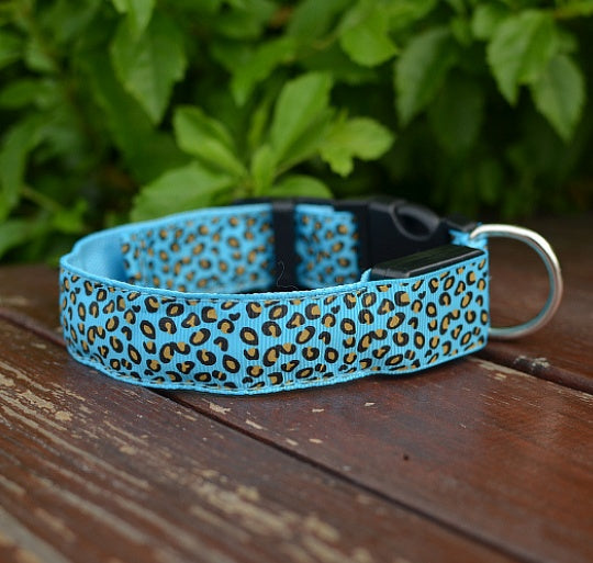 Collier Lumineux LED pour Chien – Motif Léopard