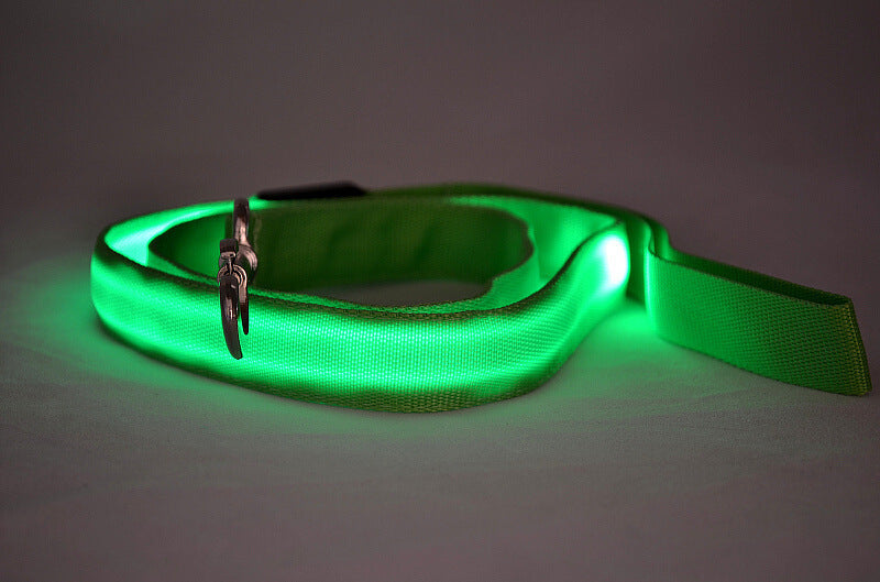 Laisse Lumineuse LED pour Animaux – Sécurité Nocturne & Style Assuré