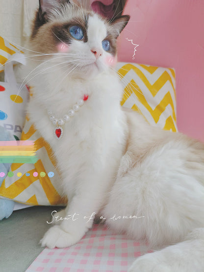 Collier pour Chat avec Perles et Petit Cœur