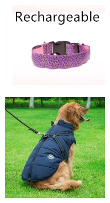 Collier Lumineux LED pour Chien – Motif Léopard