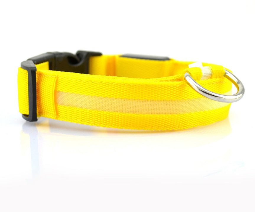 Collier Lumineux LED pour Animaux – Sécurité Nocturne & Style Assuré