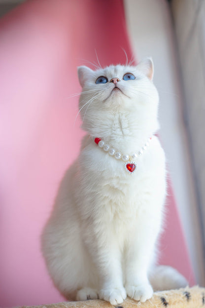 Collier pour Chat avec Perles et Petit Cœur