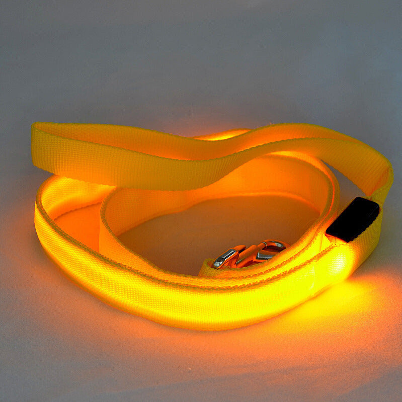 Laisse Lumineuse LED pour Animaux – Sécurité Nocturne & Style Assuré