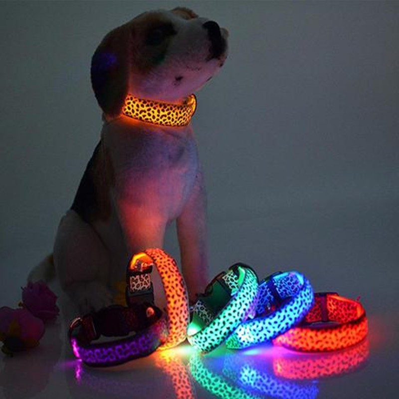 Collier Lumineux LED pour Chien – Motif Léopard