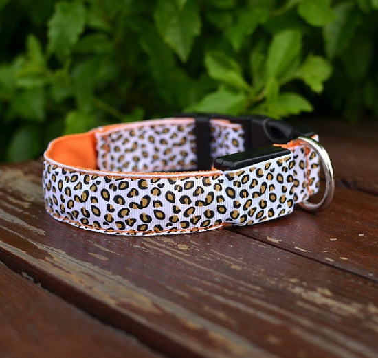 Collier Lumineux LED pour Chien – Motif Léopard