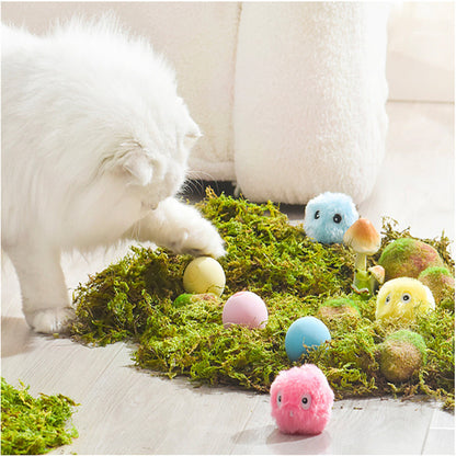 Balle Interactive Lumineuse pour Chat – Kitty Calling Ball