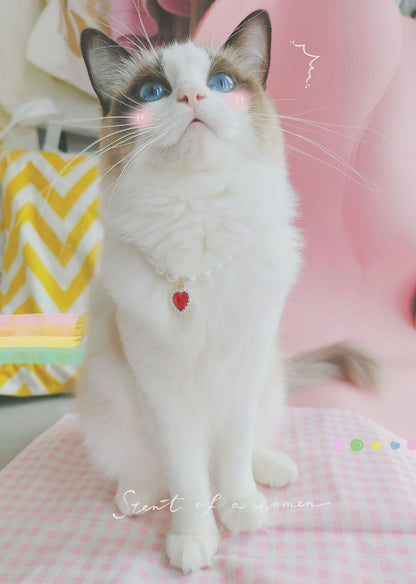 Collier pour Chat avec Perles et Petit Cœur