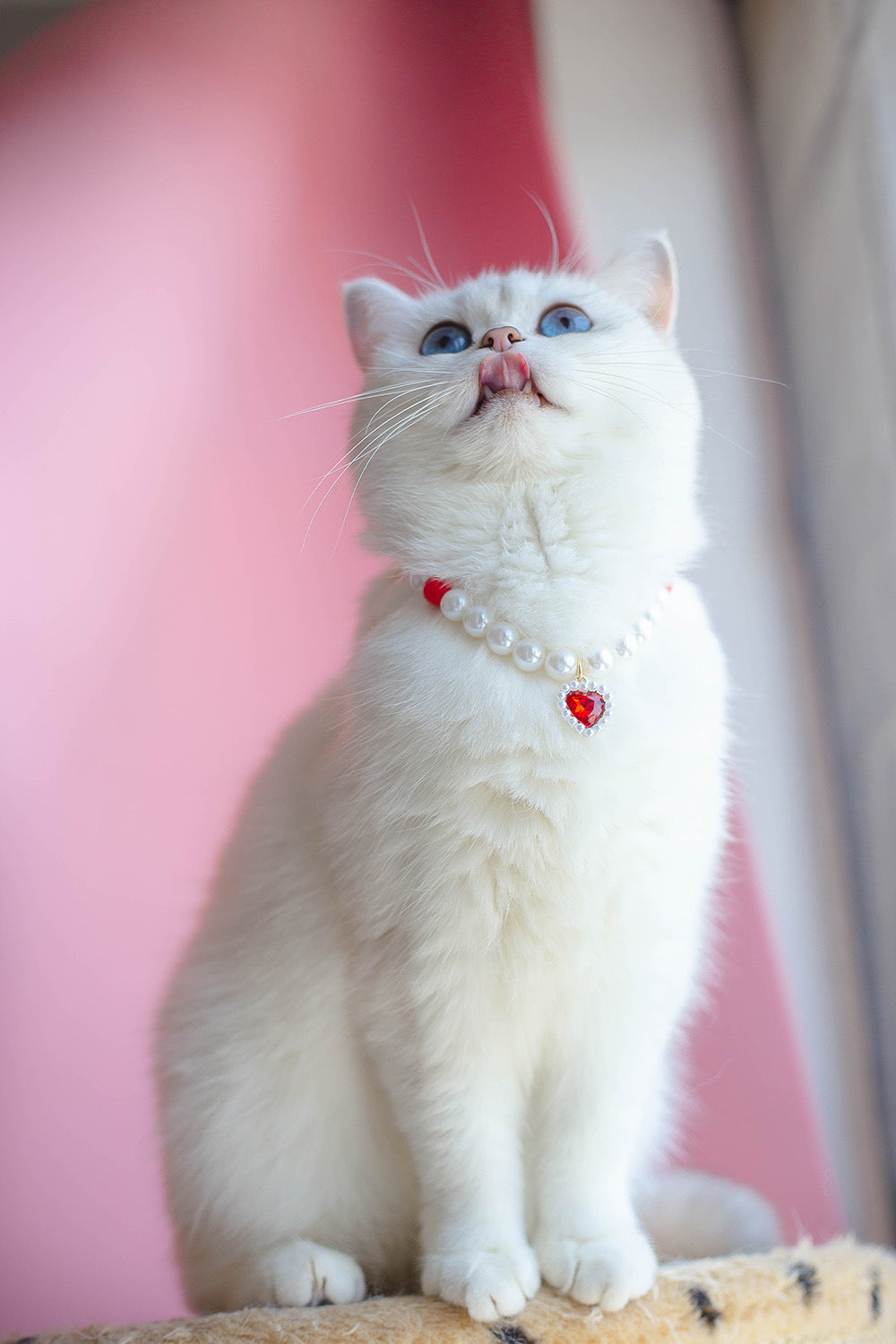 Collier pour Chat avec Perles et Petit Cœur