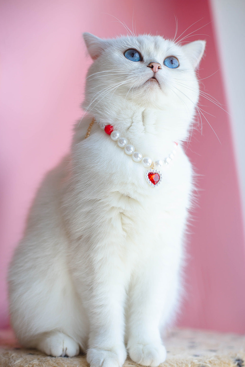 Collier pour Chat avec Perles et Petit Cœur
