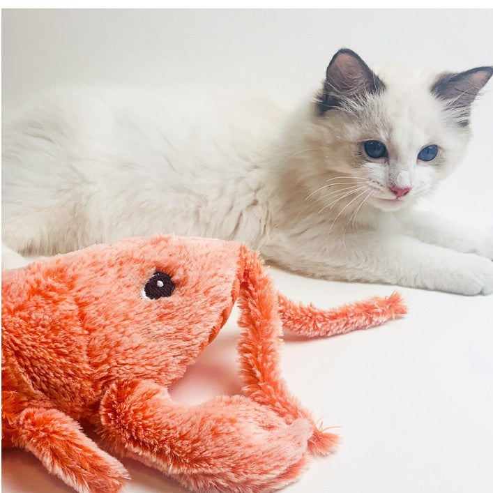 Jouet Interactif pour Chat – Crevette Sautante Électrique