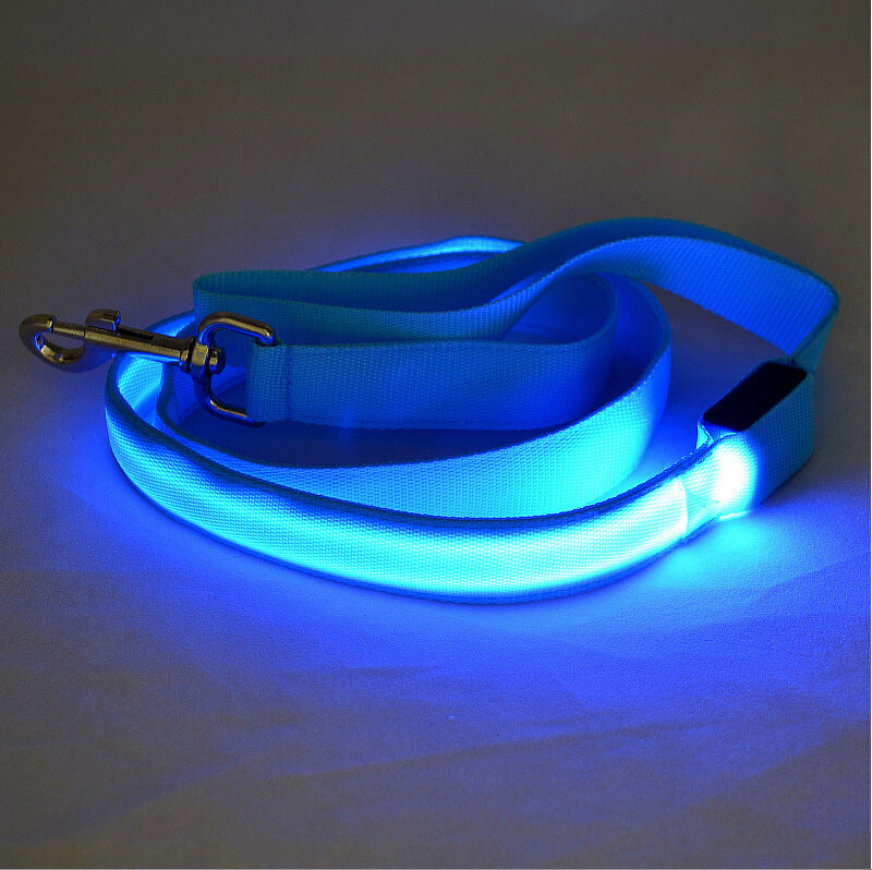 Laisse Lumineuse LED pour Animaux – Sécurité Nocturne & Style Assuré