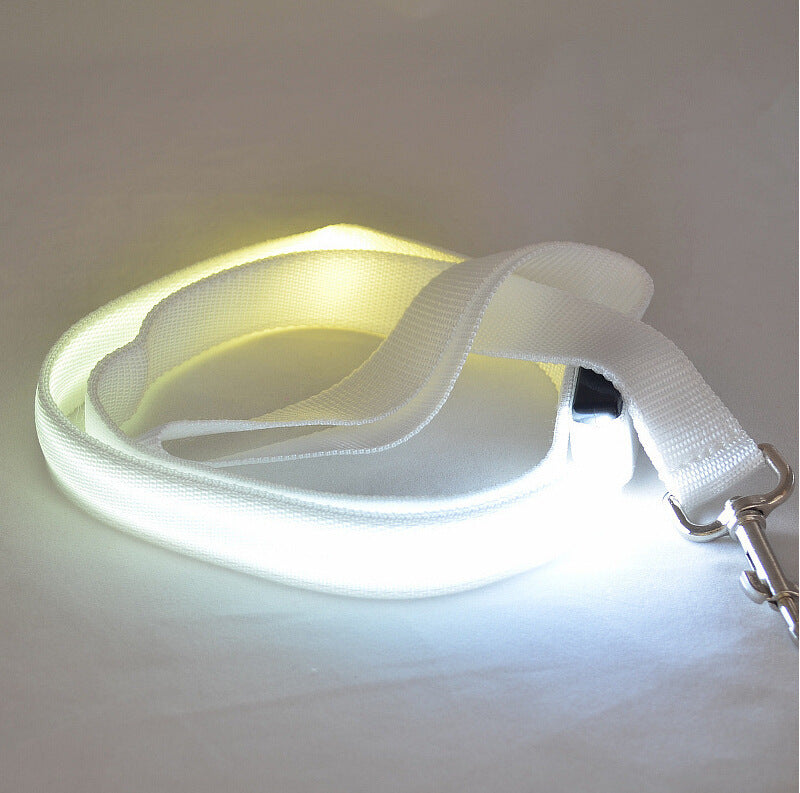 Laisse Lumineuse LED pour Animaux – Sécurité Nocturne & Style Assuré