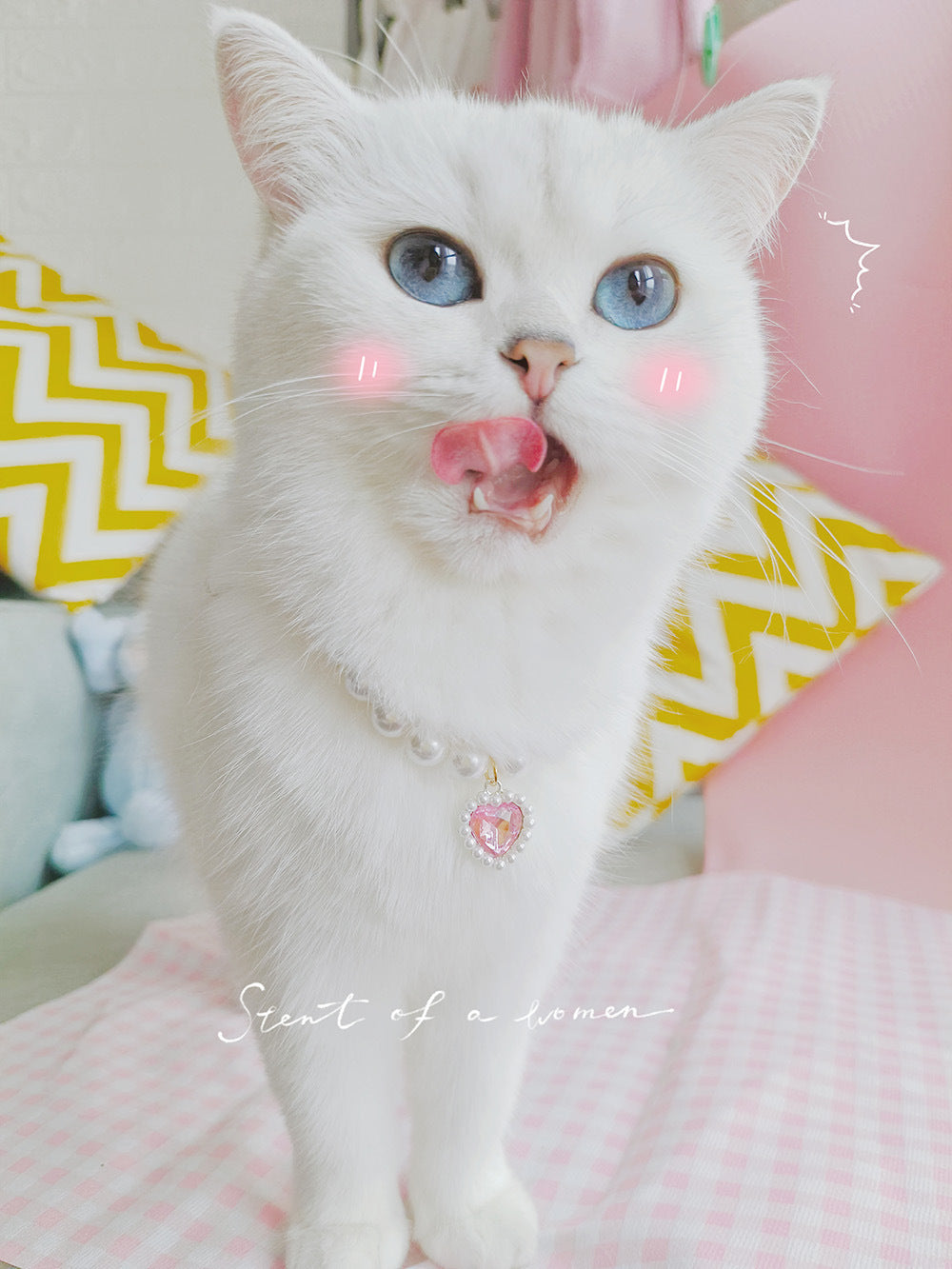 Collier pour Chat avec Perles et Petit Cœur