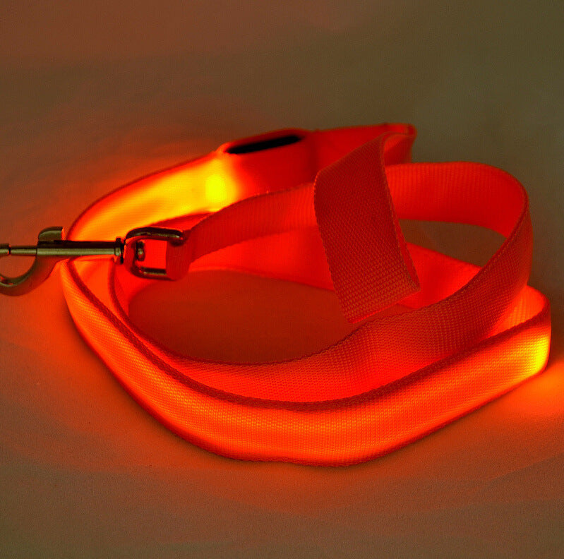 Laisse Lumineuse LED pour Animaux – Sécurité Nocturne & Style Assuré