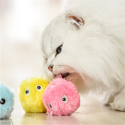 Balle Interactive Lumineuse pour Chat – Kitty Calling Ball